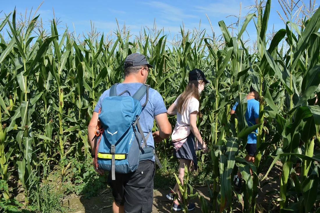 Pop Corn Labyrinthe 4